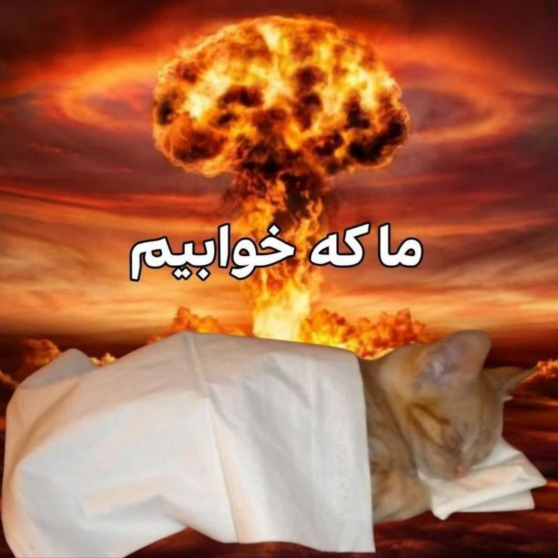 1410-IMG-20260530-164433.jpg