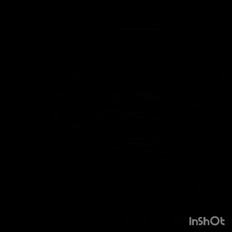 1914-InShot-20260408-150217369.gif