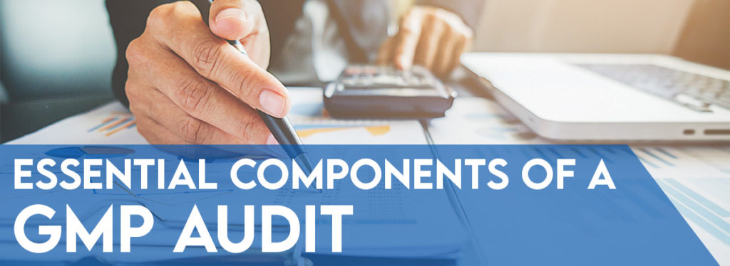 1cc0-GMP-Audit-02-1024x374.jpg (1024×374)