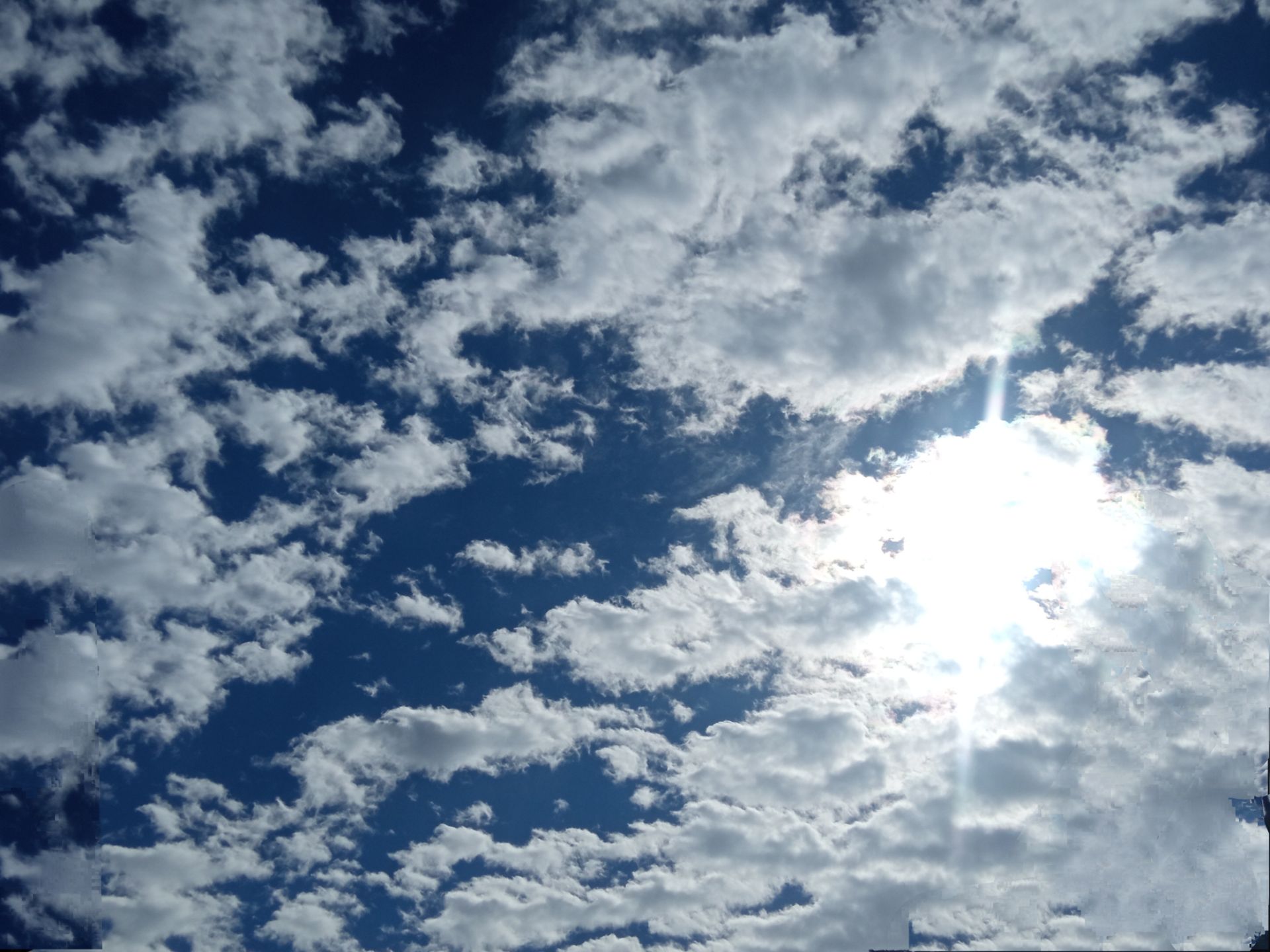 1d98--2147483648-213574.jpg