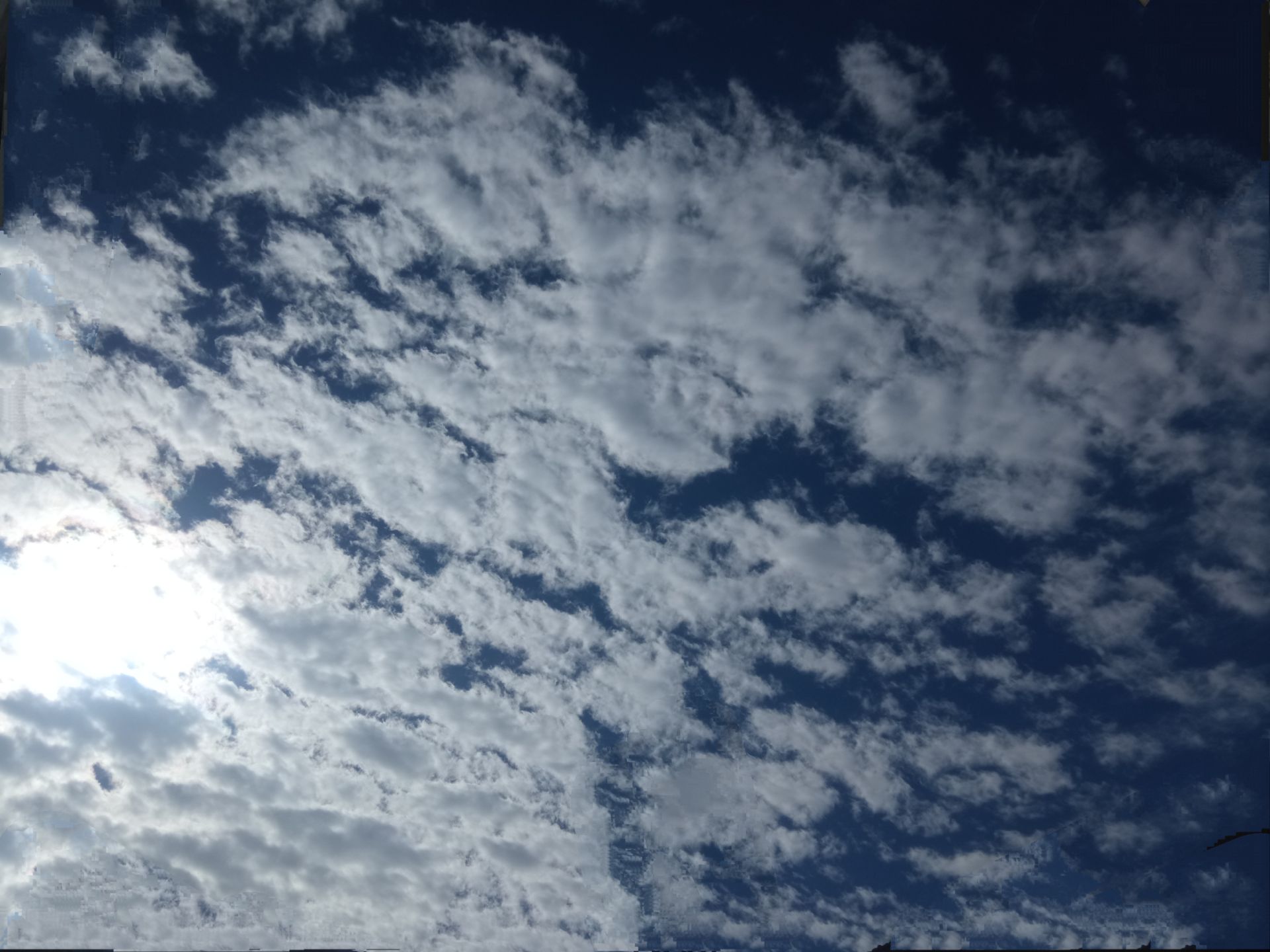 1d98--2147483648-213576.jpg