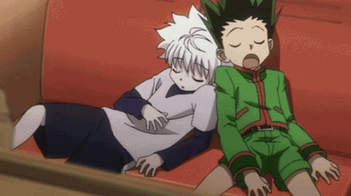3237-hunter-x-hunter-1.gif
