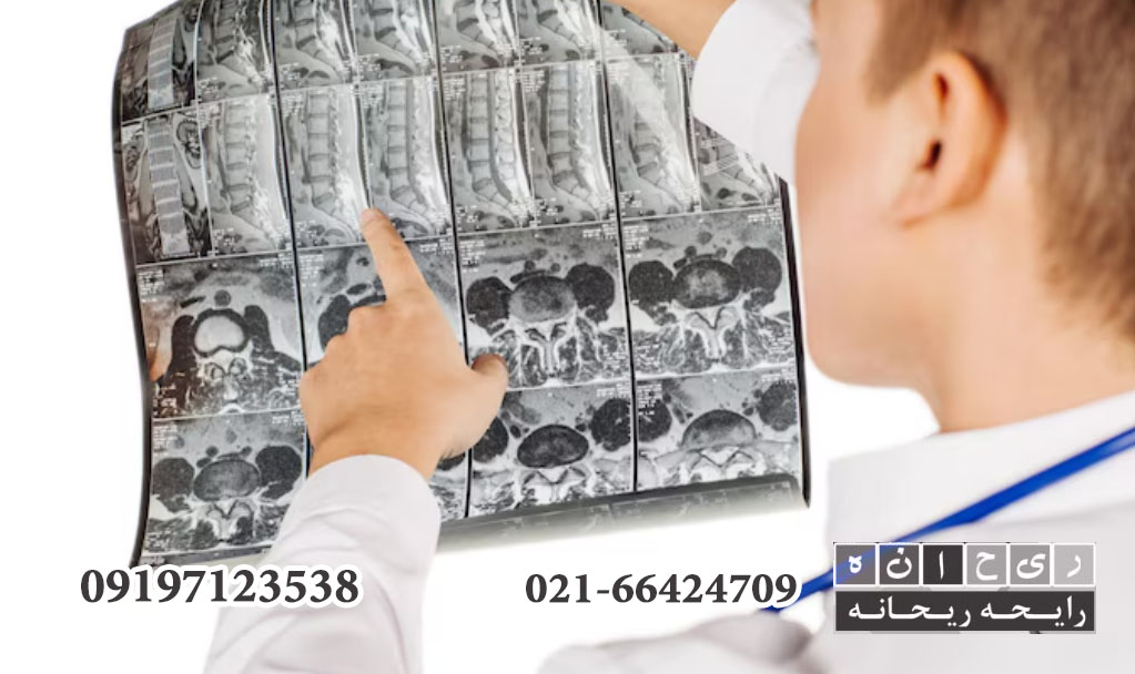 رایحه ریحانه چاپ سی دی پزشکی