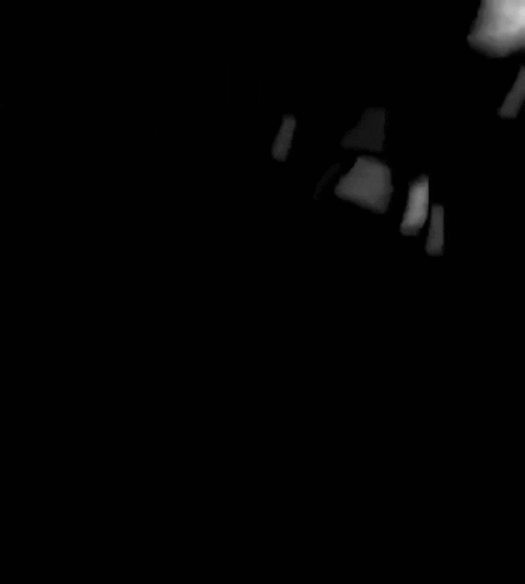 7e96-InShot-20260711-195139947.gif
