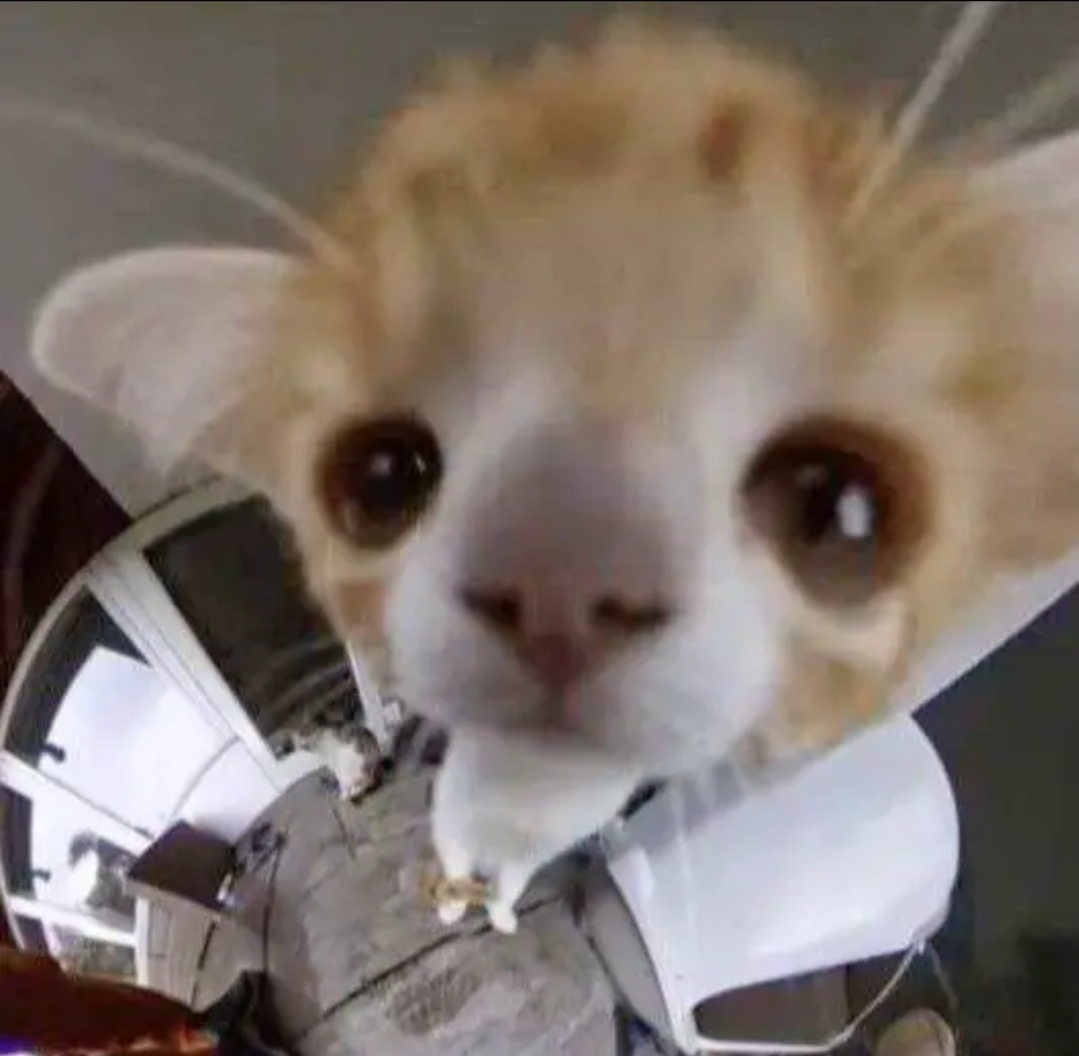 8b57-SmartSelect-20260125-200307-Gallery