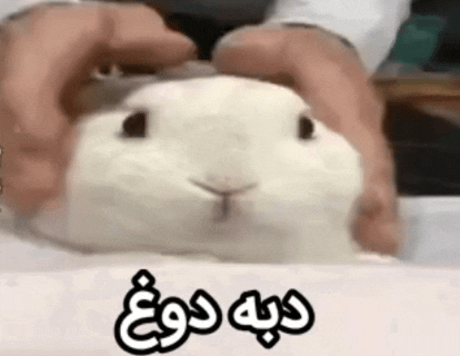 ac5e-InShot-20260724-085349013.gif