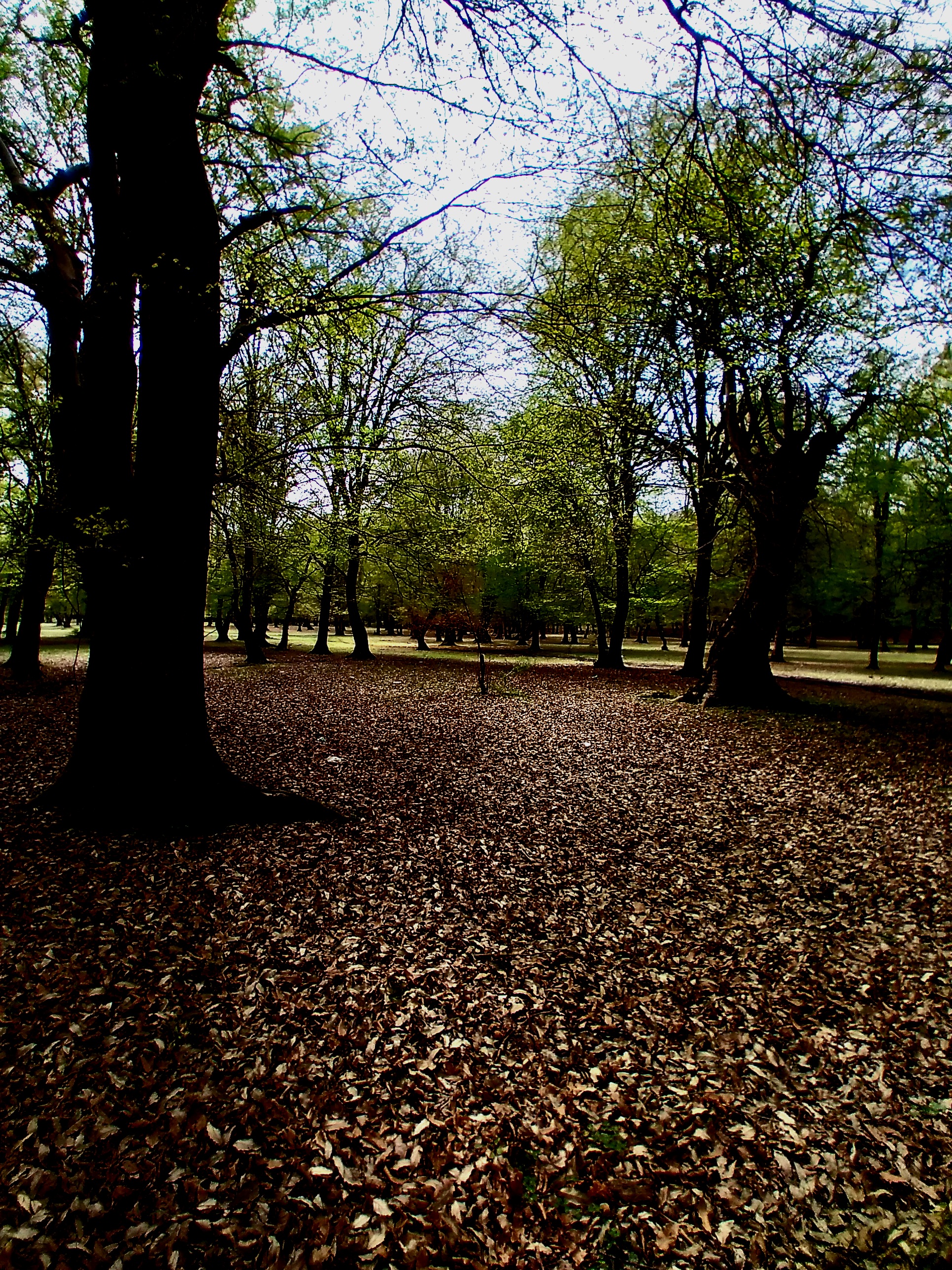 b0bc-0d7f-20250328-120255.jpg