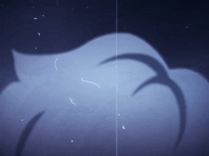 b6d8-InShot-20260405-153216753.gif