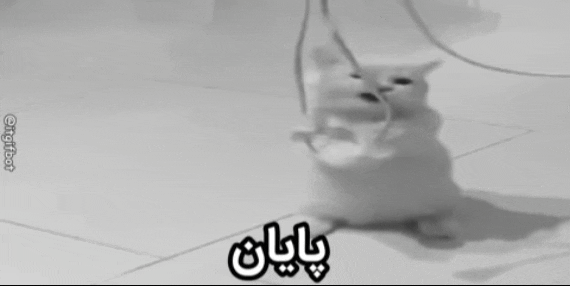 bfd6-InShot-۲۰۲۶۰۸۱۸-۰۶۰۴۴۱۳۷۱.gif