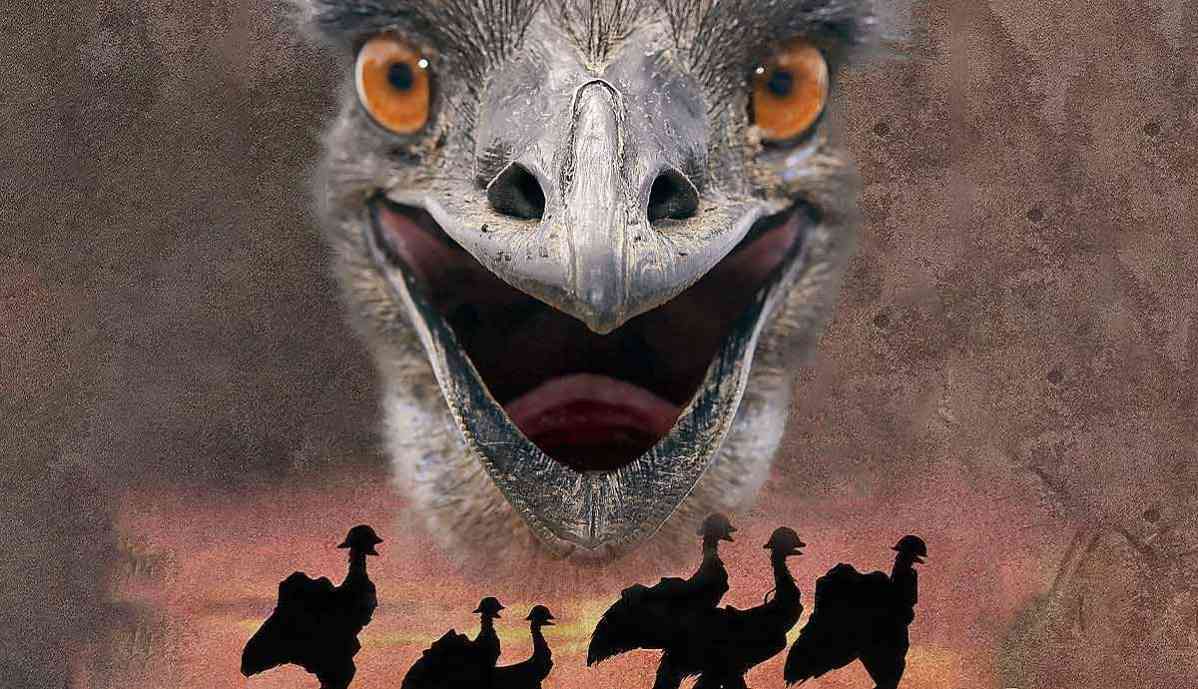 جنگ بزرگ ایموها