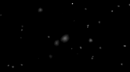 e65b-InShot-20260516-002634814.gif
