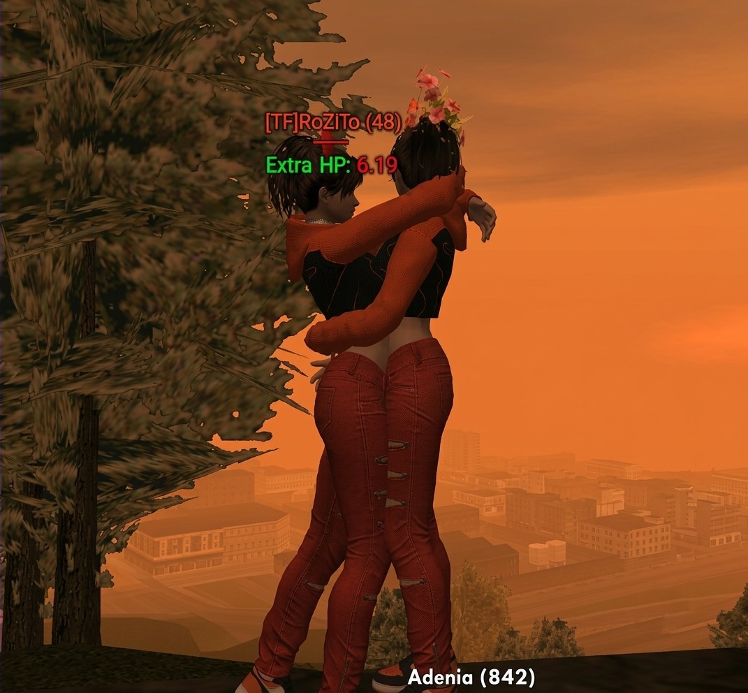 f463-Image-8639.png