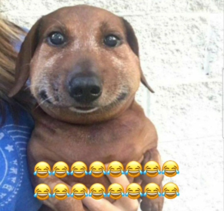 f619-Screenshot-%DB%B2%DB%B0%DB%B2%DB%B6